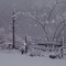 winter wonderland