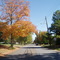 East Main Street, Danville, Kentucky