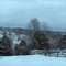 Steilenberg Farms Winter