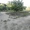 Sand Barrens
