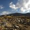 Pinon Hills after fire.