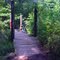 Trail Bridge 3