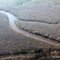 Bear Creek Mitigation Bank -- NC Coastal Land Trust Preservation Area