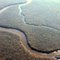 Bear Creek Mitigation Bank -- NC Coastal Land Trust Preservation Area