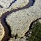 Bear Creek Mitigation Bank -- NC Coastal Land Trust Preservation Area