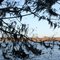 Neuse River