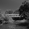 Otway Covered Bidge