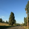 Hwy 82..