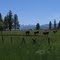 Grazing Country, Smith Mountain, Oregon, USA