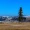 Winter Landscape