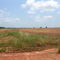 Red Clay Agricultural Lands of the Inner Coastal Plains