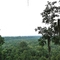 Congaree Bluffs Heritage Preserve