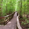 Trail