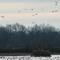 Hendrix Hole Duck Blind