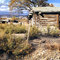 Jensen cabin