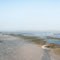 Foggy Seaweed Beach