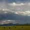 Above the Fruited Plain