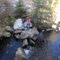 Creek in the Bighorn Mnts