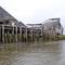 Old Cannery - Ugashik Alaska