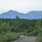 Nabesna Rd. becoming more of a trail than road