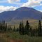 On Nabesna Road in Alaska