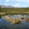 Wrangell St. Elias National Park  Twin Lakes