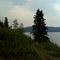 Mountain Bike Trail in Alaska