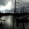 Moose Pond