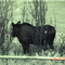 Anchorage visitor