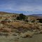 Near Pine Grove