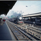 delhi, train hunting pigeons © weggi.ch
