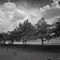 Fort Reno - Graveyard - [greg-willis.com]
