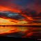 Golden Reflections