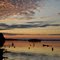 Perdido Bay, Florida December 2009