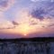 Seashore Sunset