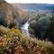Salmon River Vista