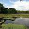 Pond view from Airline Trail