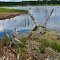 2012_05-12_American Horse Lake_P1030643
