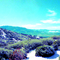 Bear Valley Springs Snow Cub Mountain