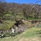 Sycamore Canyon