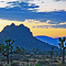 Desert Colors ...03.24.07