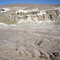 The Sump, Fossilized Swamp