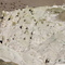 The Sump, Fossilized Swamp