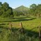 Green Fields
