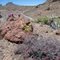 Near Malpais Spring, Mojave National Preserve