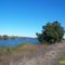 On Tyler Island