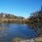 Georgiana Slough Fishing Access