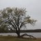 Liberty Lake, Guthrie  Oklahoma