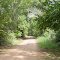 Named D3143 Rd. This road runs east from the end of  North Pine at the Cimarron River