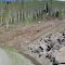 Slump along highway - Grand Mesa